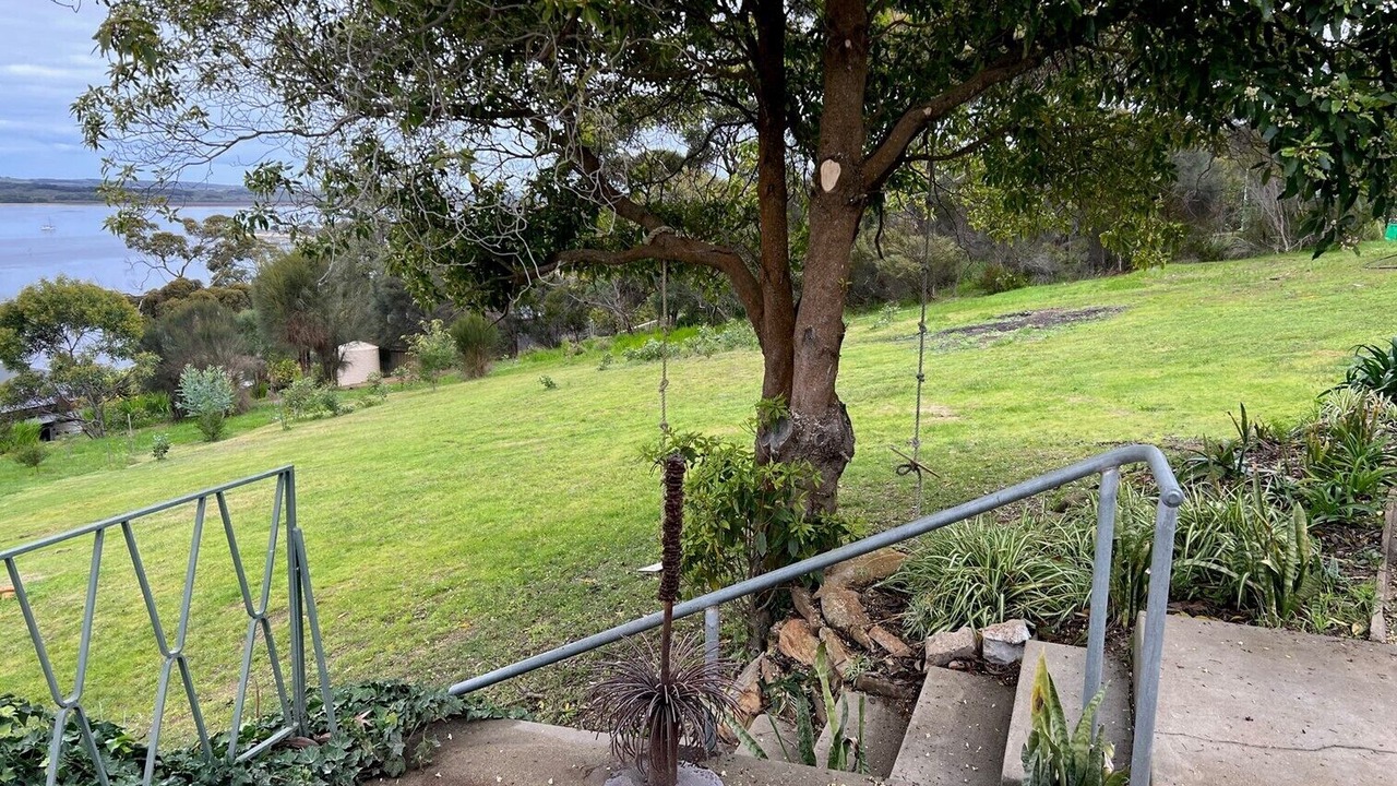 Photo of Outdoor in American River