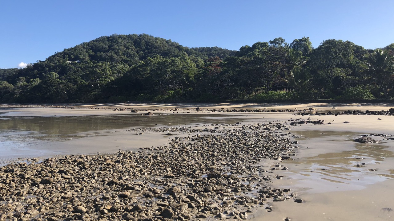 Photo of Others in Rocky Point