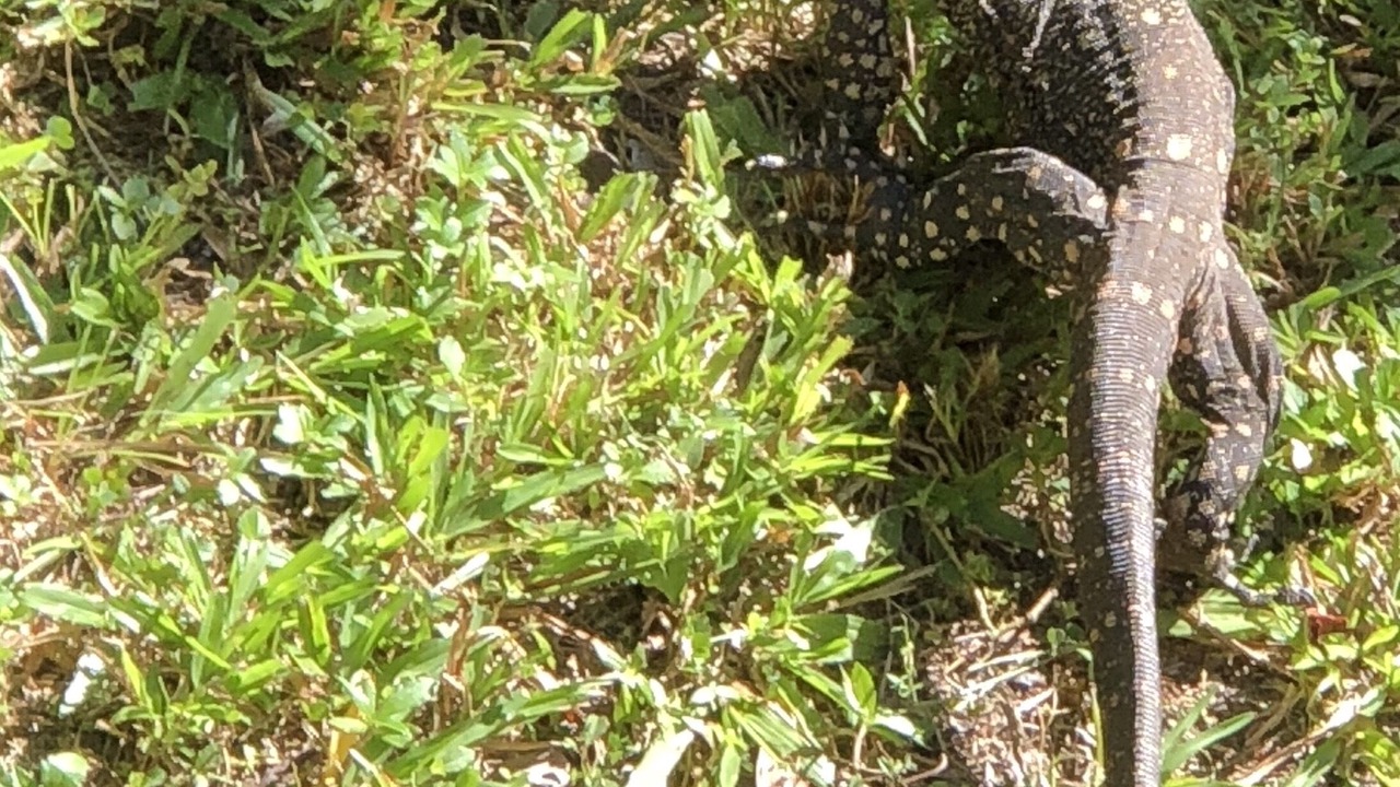 Photo of Outdoor in Rocky Point