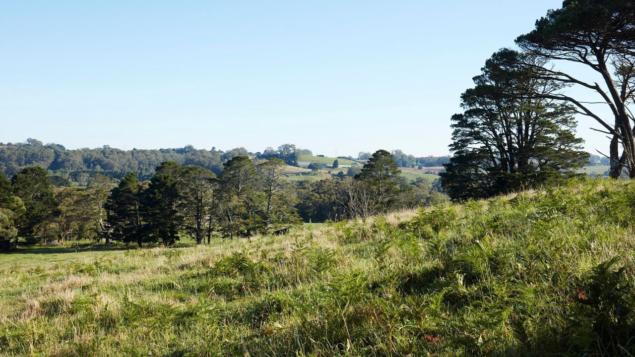 Photo of Others in Wildes Meadow