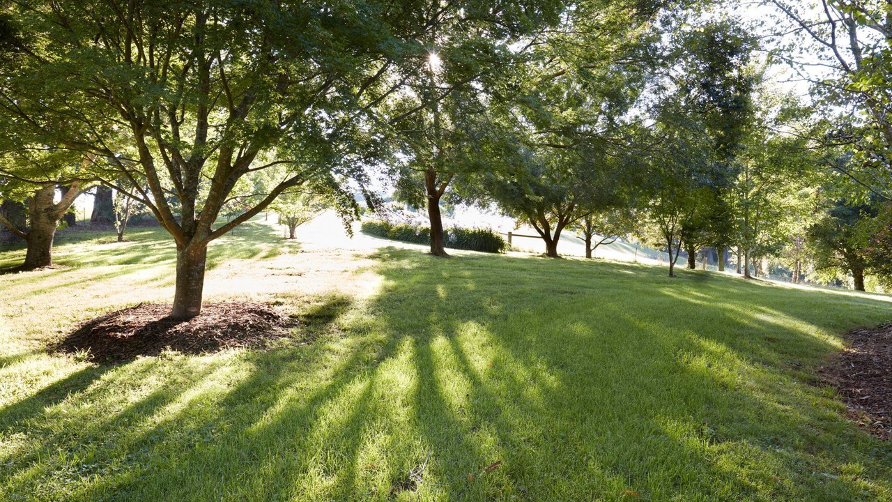 Photo of Outdoor in Wildes Meadow