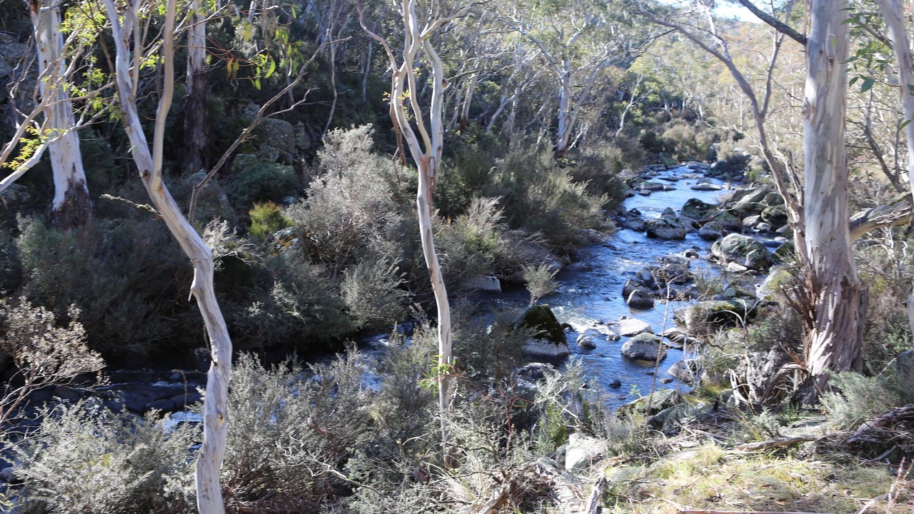 Photo of Outdoor in Moonbah