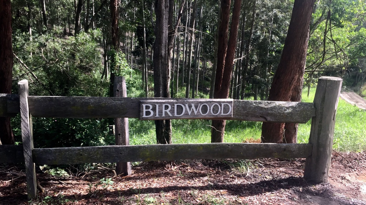 Photo of Others in Moreton Bay Region