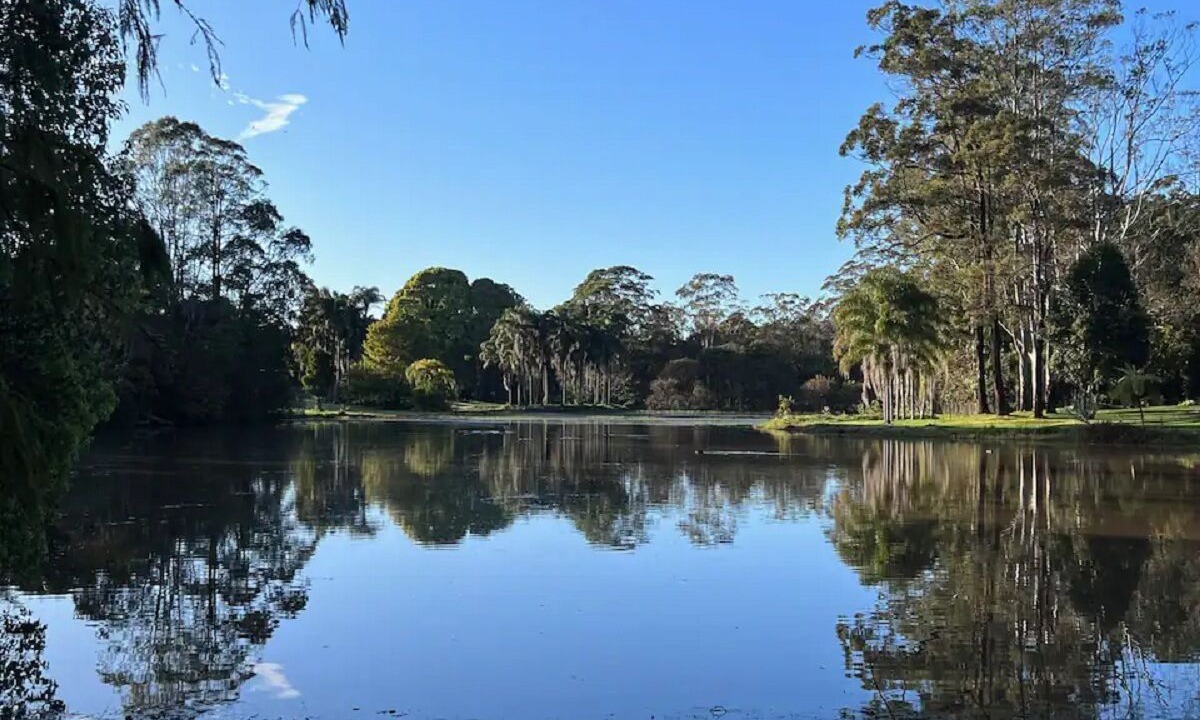 Photo of Outdoor in Witta