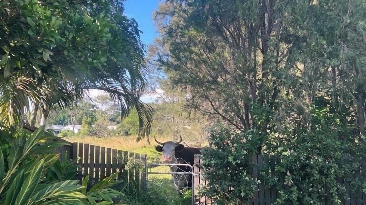 Photo of Outdoor in Black Head
