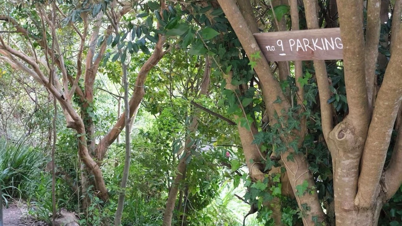 Photo of Outdoor in Badger Creek