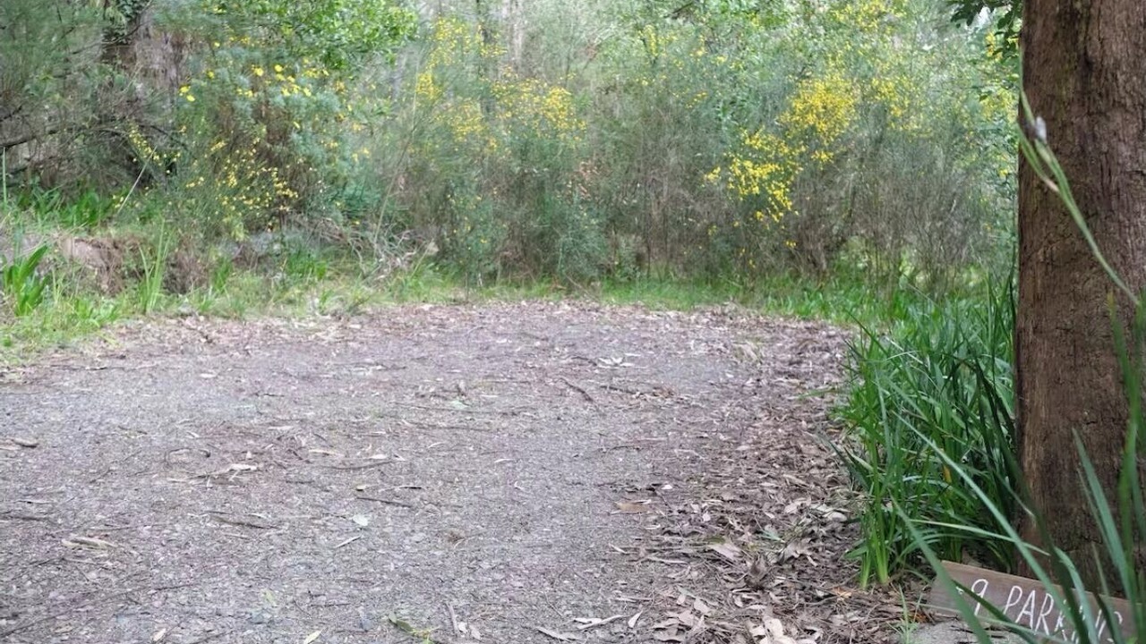 Photo of Outdoor in Badger Creek