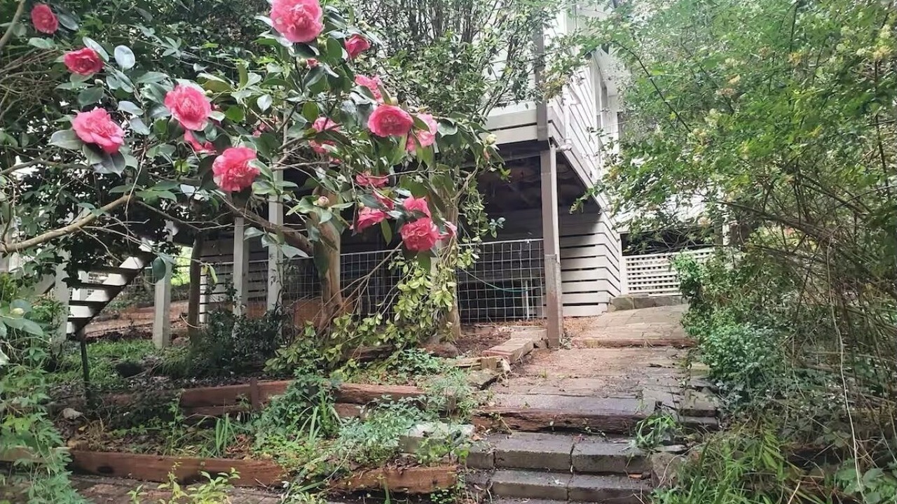 Photo of Outdoor in Badger Creek