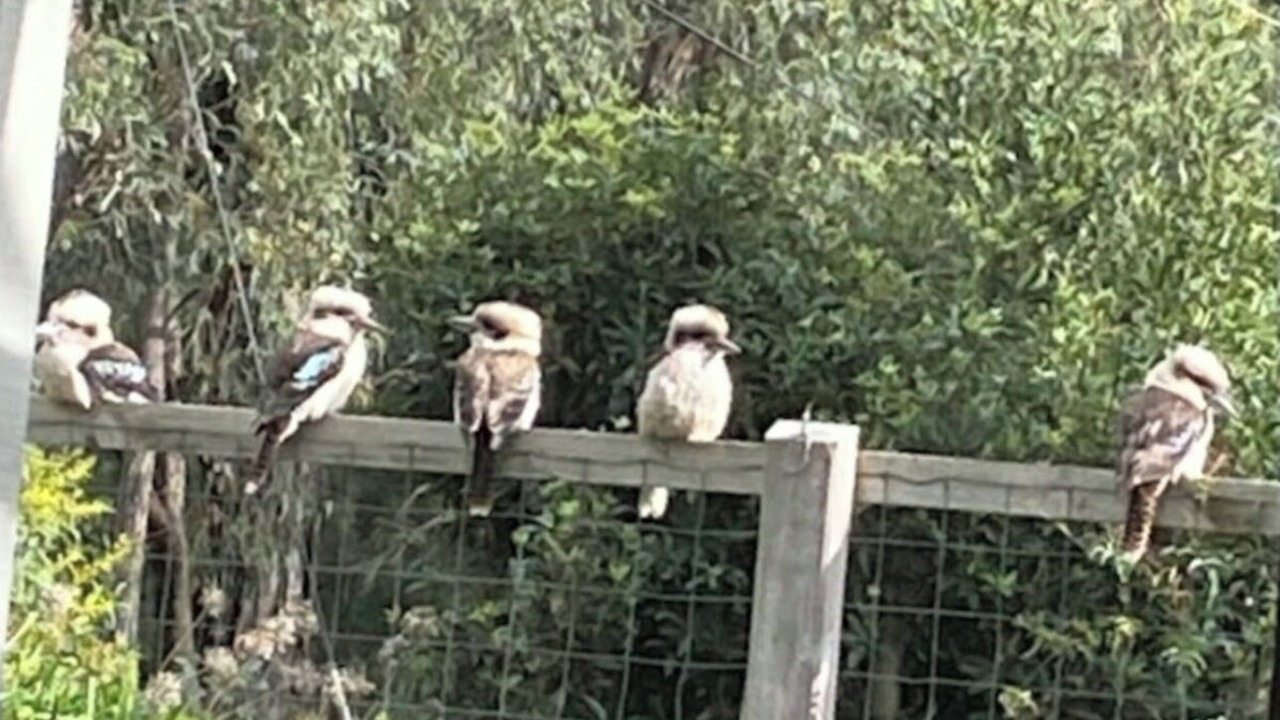 Photo of Outdoor in Badger Creek