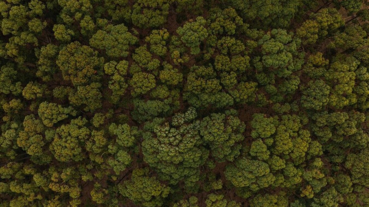 Photo of Others in Nomans Lake