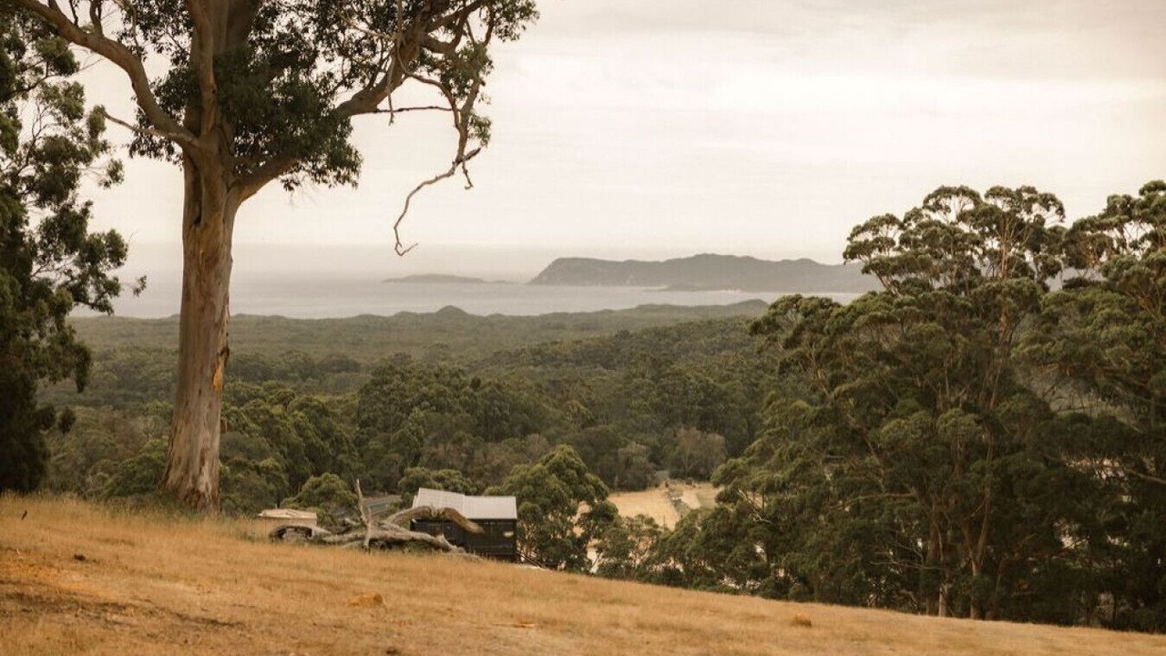 Photo of Others in Chapman Hill