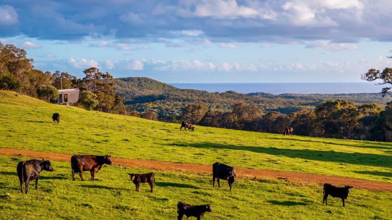 Photo of Others in Chapman Hill