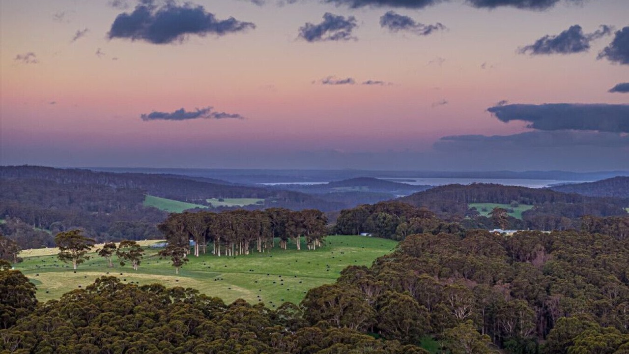 Photo of Others in Chapman Hill