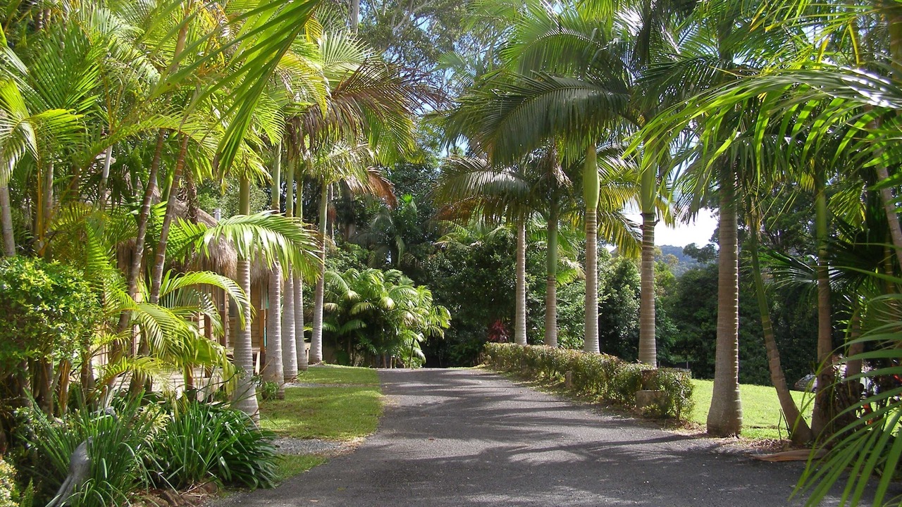 Photo of Outdoor in Tomewin