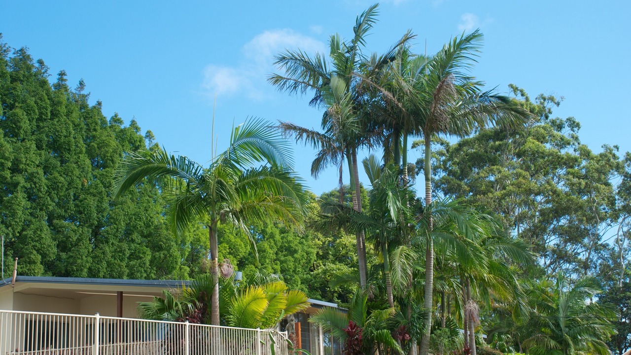 Photo of Outdoor in Tomewin