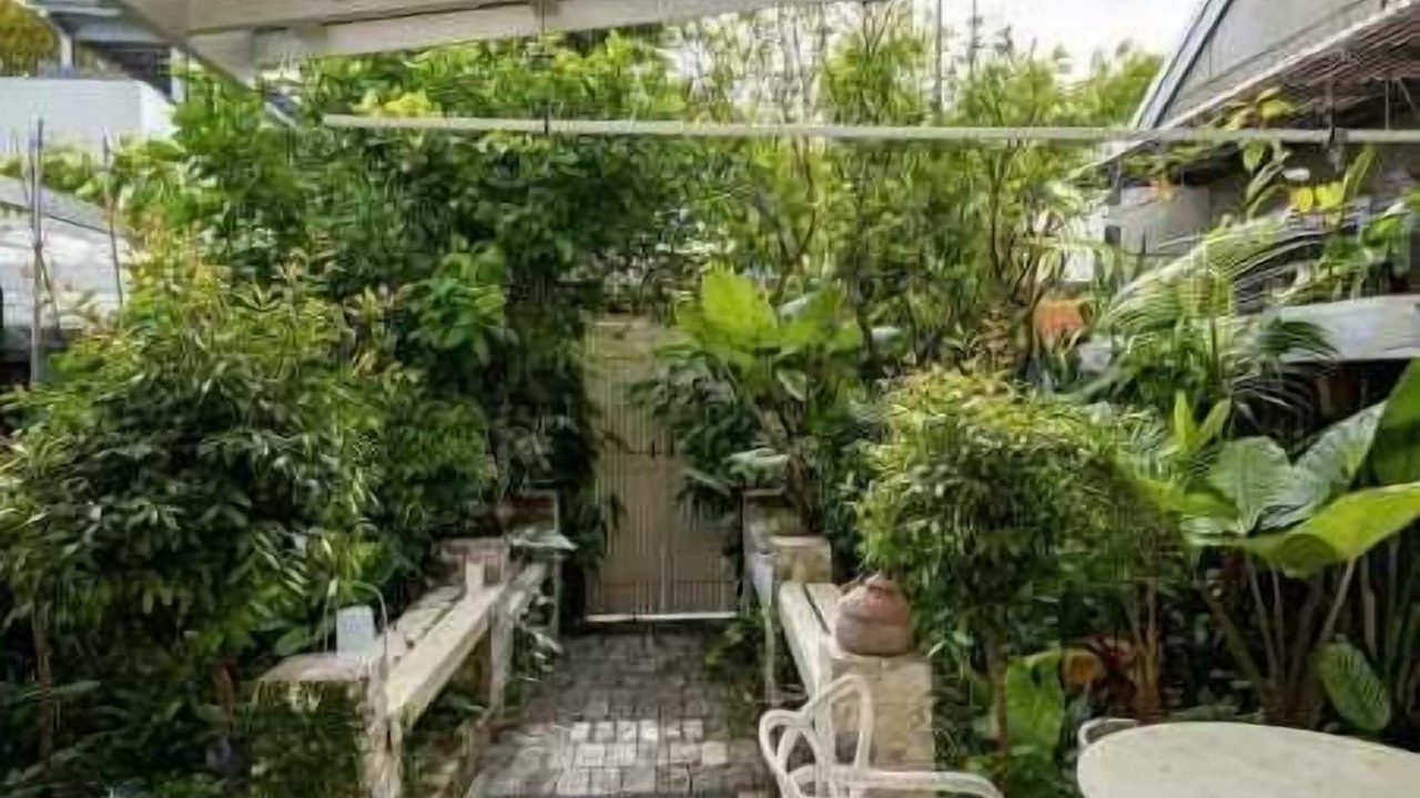 Photo of Outdoor in Redfern