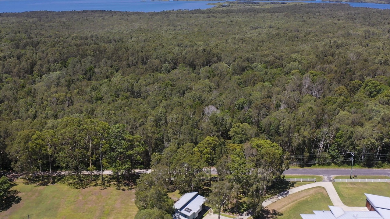 Photo of Outdoor in Yamba