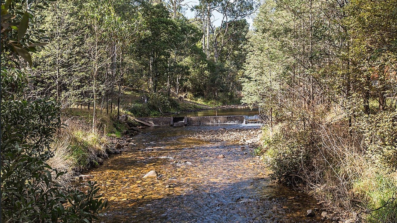 Photo of Outdoor in Sawmill Settlement