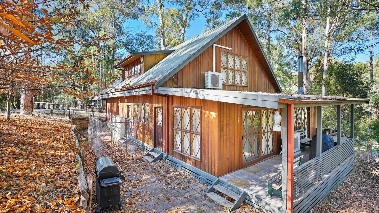 Photo of Outdoor in Sawmill Settlement