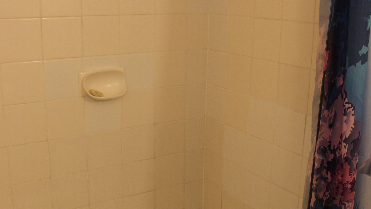 Photo of Bathroom in North Ward