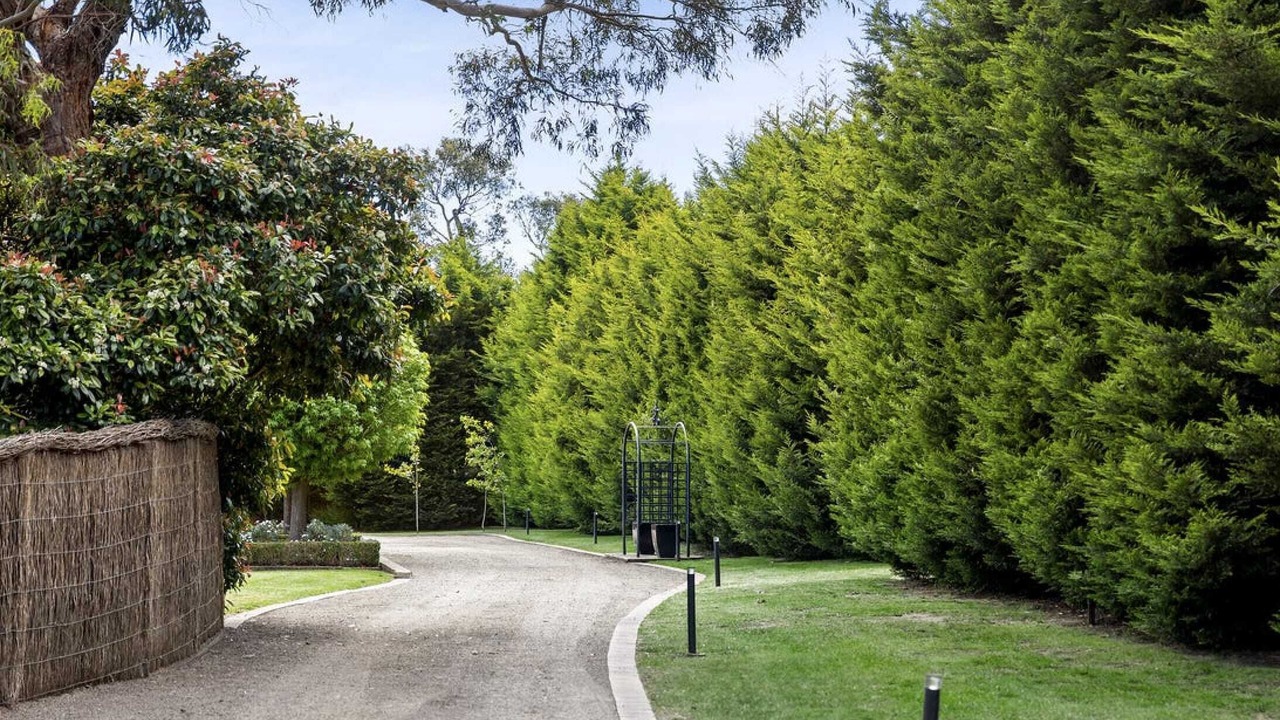Photo of Outdoor in Mount Eliza