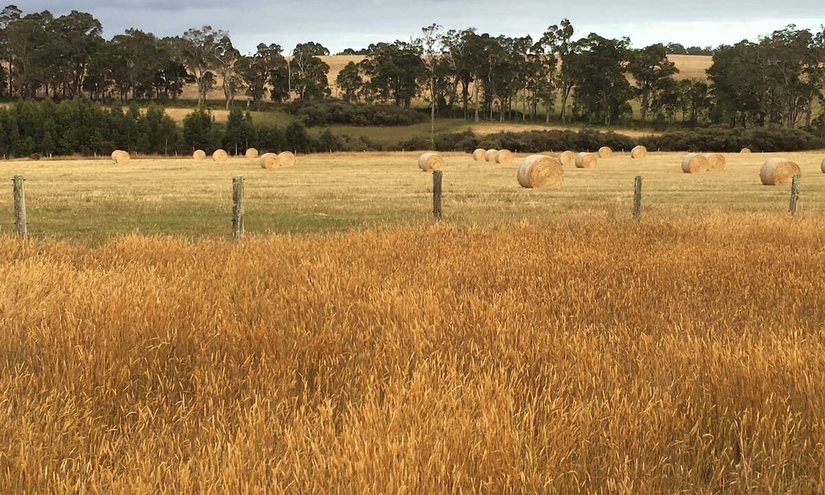 Photo of Others in Rosa Glen