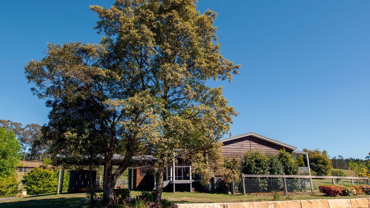 Photo of Outdoor in Bilpin