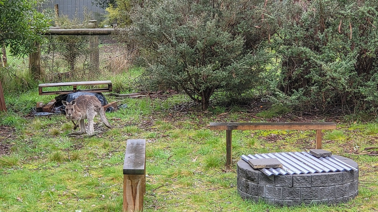 Photo of Outdoor in Sawmill Settlement