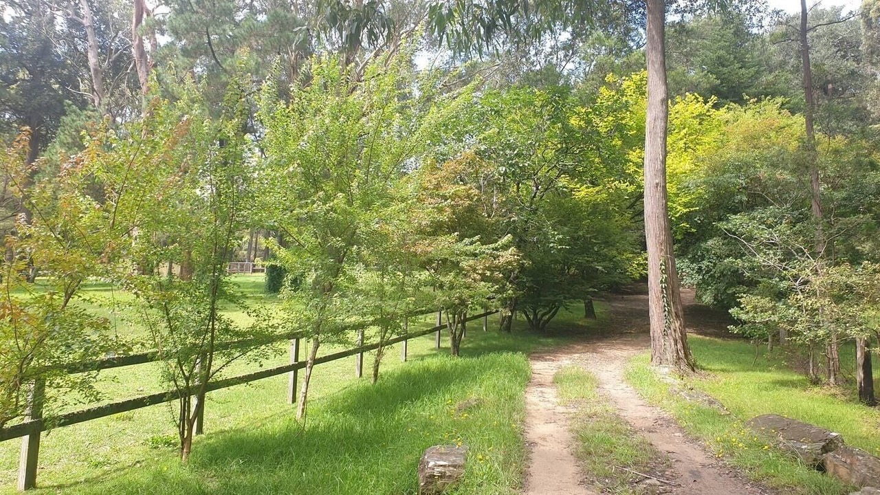 Photo of Outdoor in Bilpin