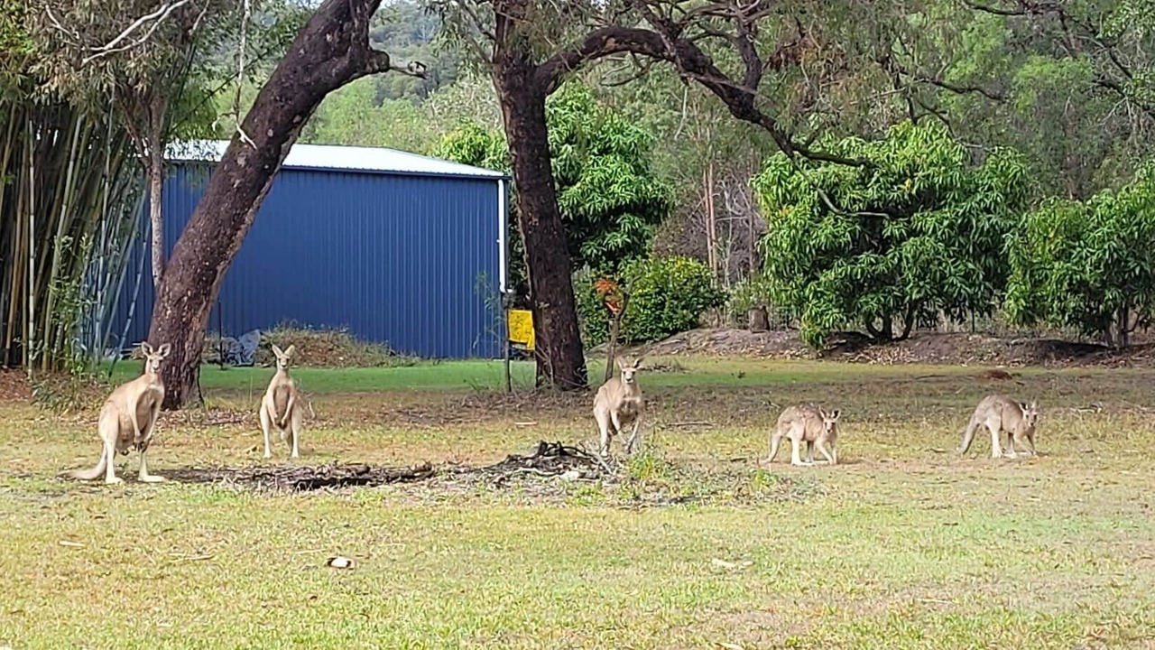 Photo of Outdoor in Agnes Water