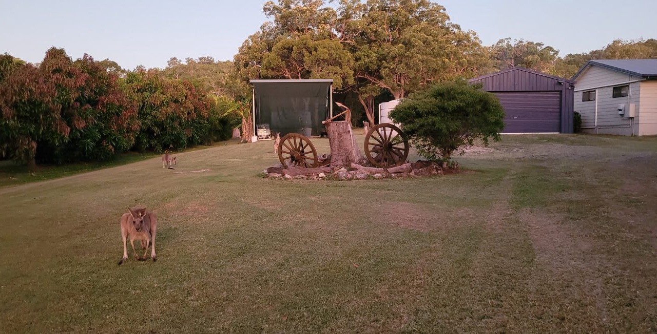 Photo of Outdoor in Agnes Water