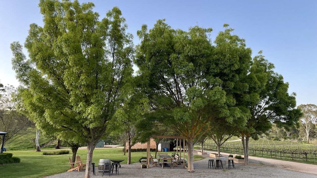Photo of Outdoor in Upper Wakefield