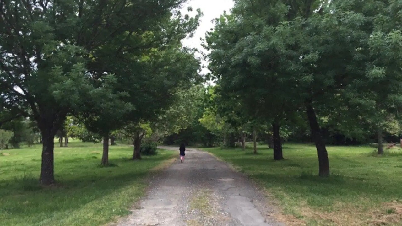 Photo of Outdoor in Mulgoa