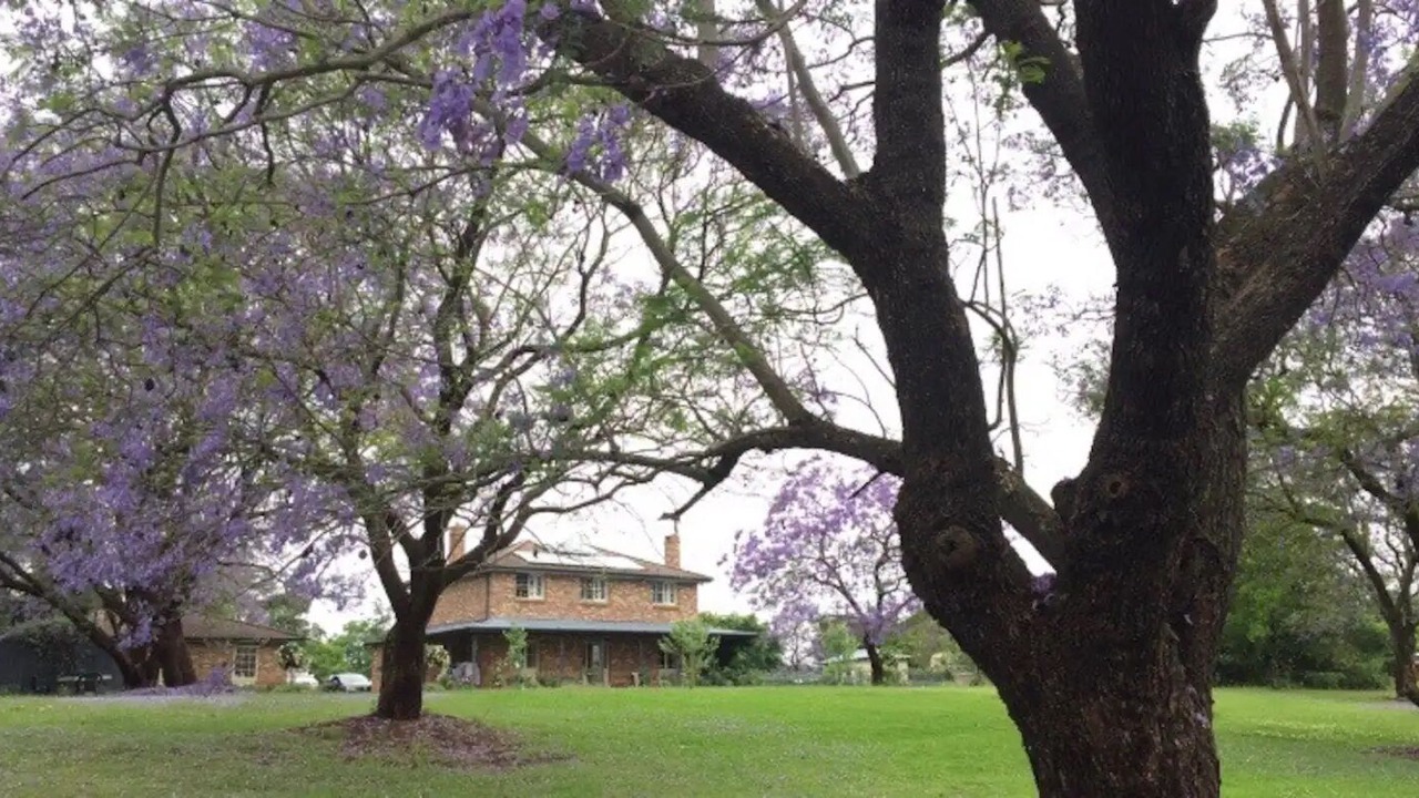 Photo of Outdoor in Mulgoa