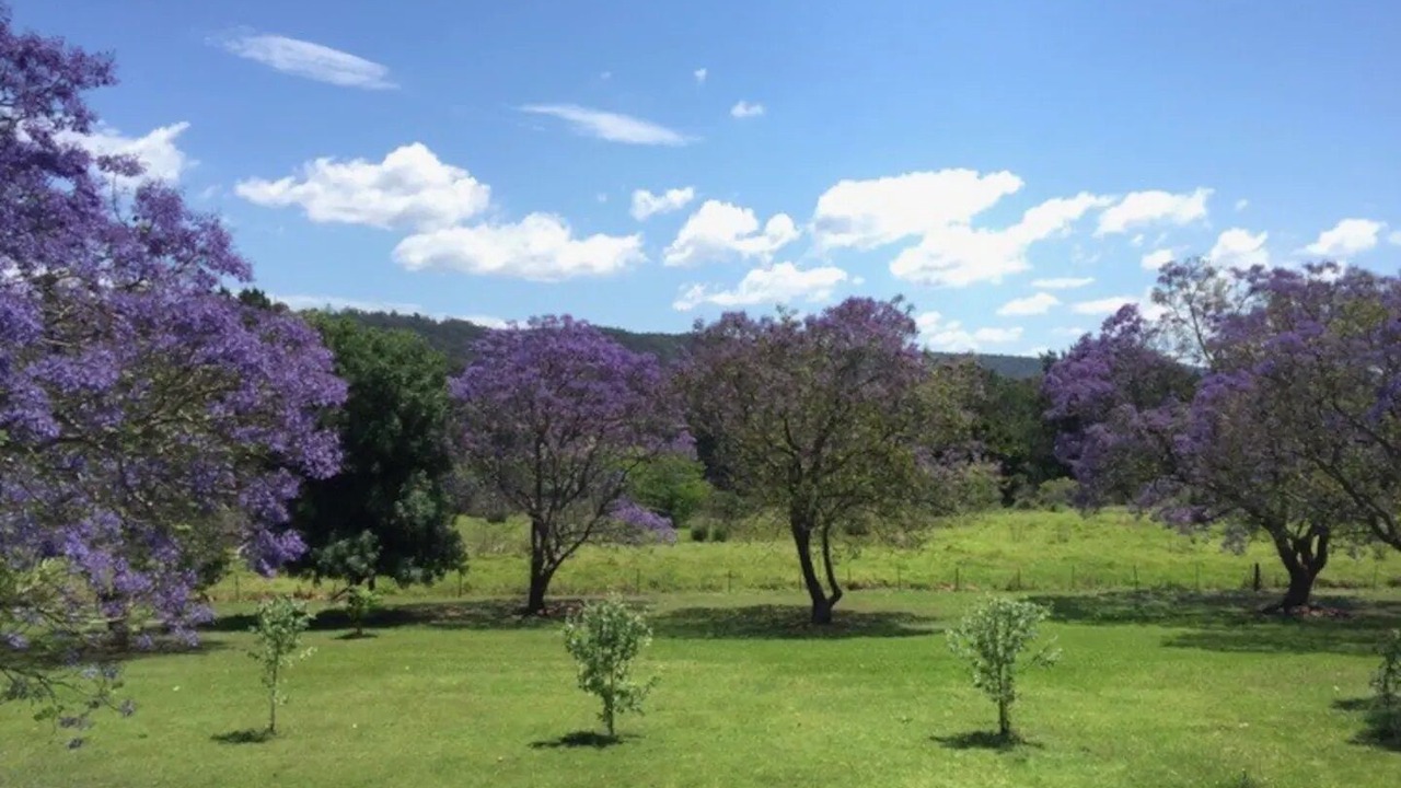 Photo of Others in Mulgoa