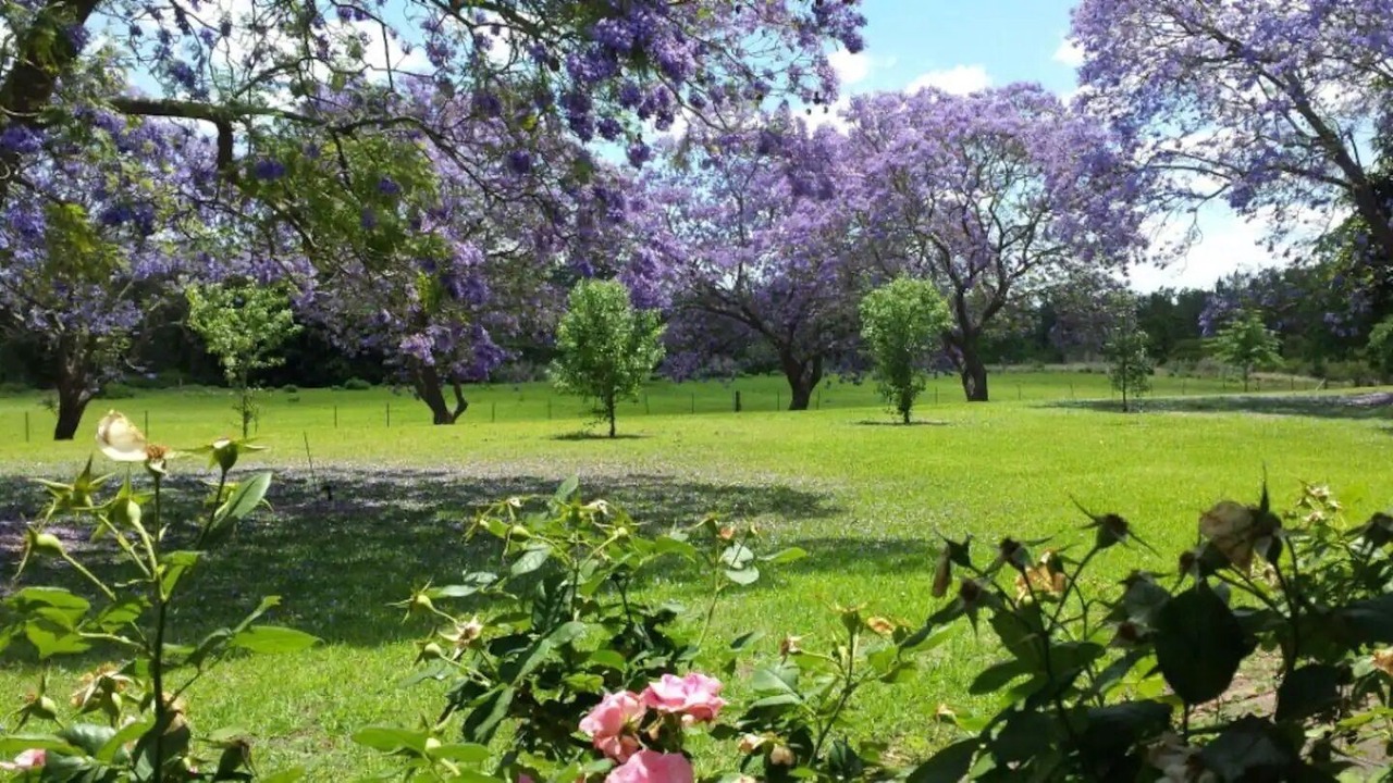 Photo of Outdoor in Mulgoa