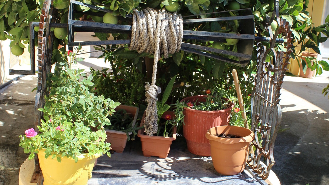 Photo of Outdoor in Rhodes Old Town