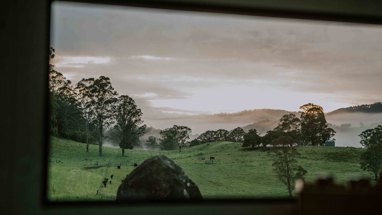 Photo of Others in Grevillia