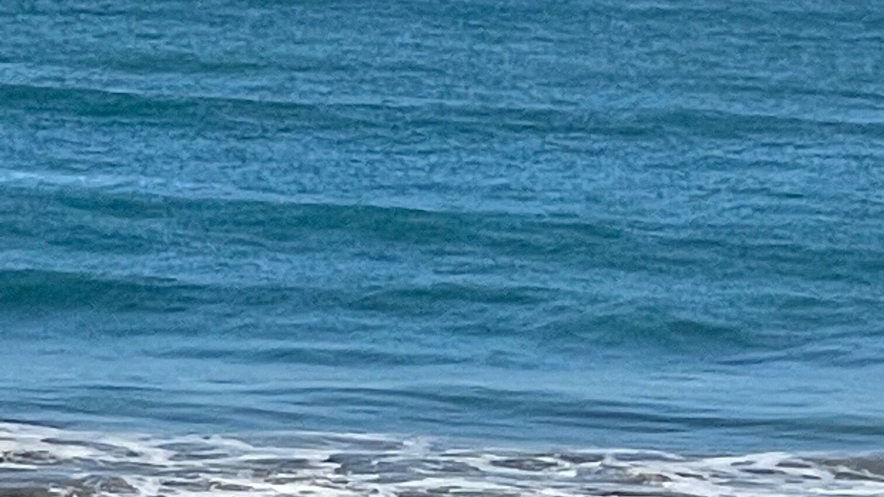 Photo of Others in Korora