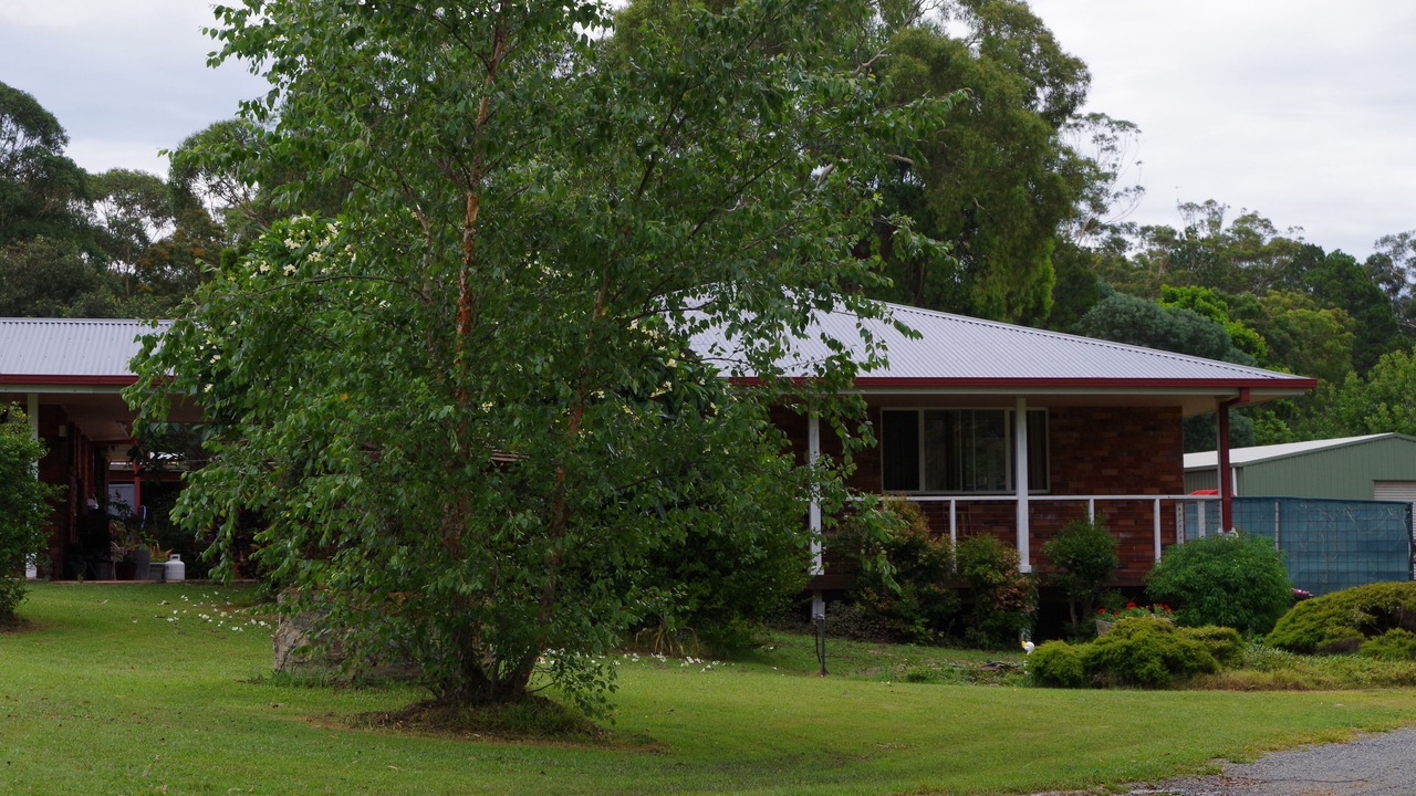 Photo of Outdoor in Emerald Beach