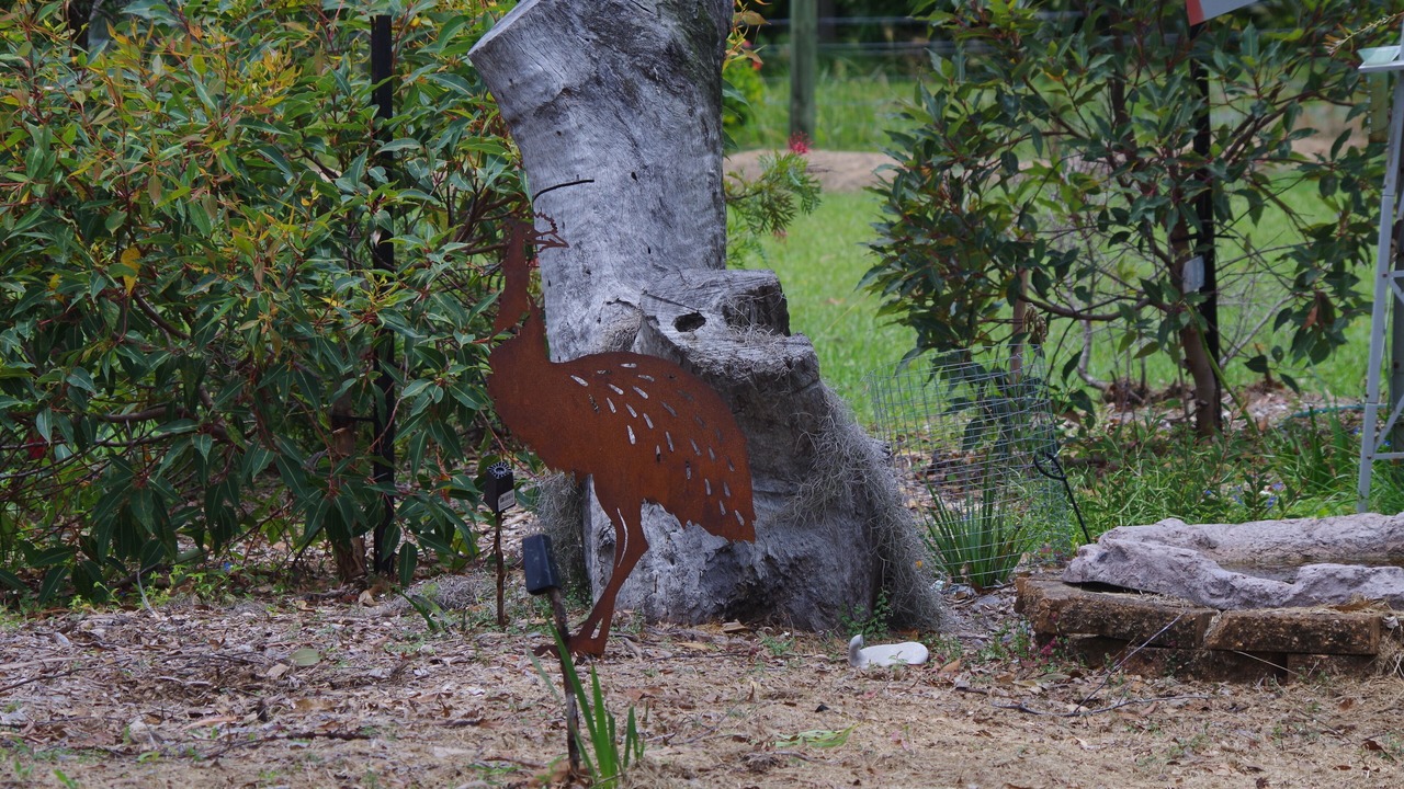 Photo of Outdoor in Emerald Beach