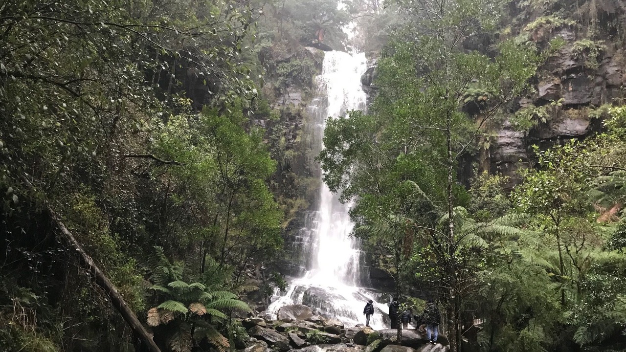 Photo of Outdoor in Birregurra