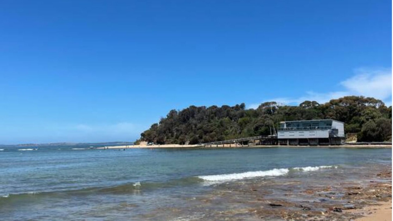 Photo of Others in Point Leo