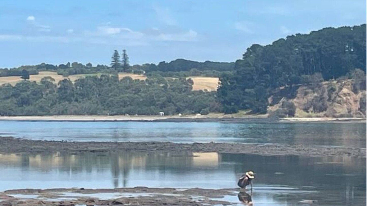 Photo of Others in Point Leo