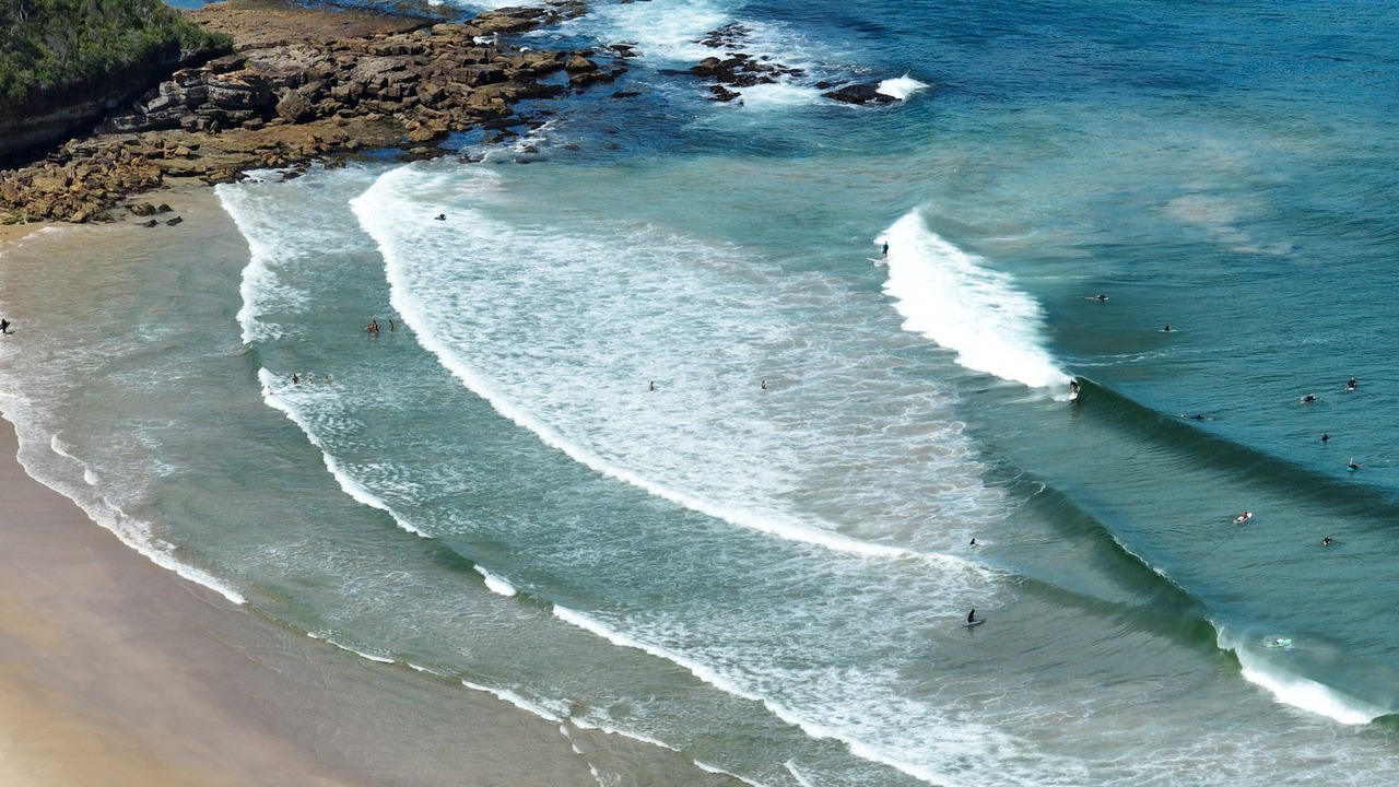 Photo of Others in Narrawallee