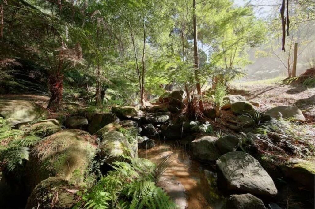 Photo of Outdoor in Warburton