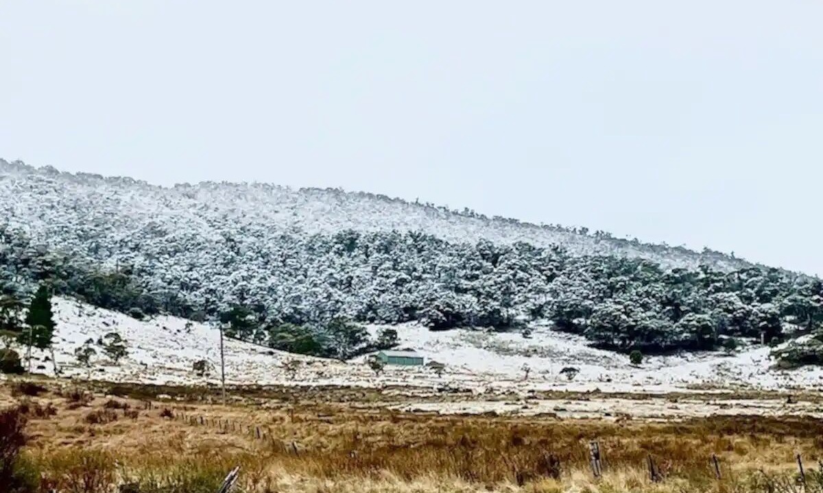 Photo of Outdoor in Crackenback