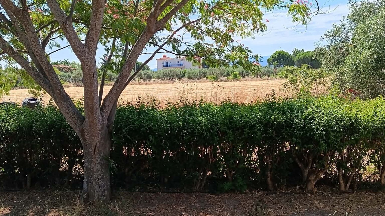 Photo of Outdoor in Skala Kallonis