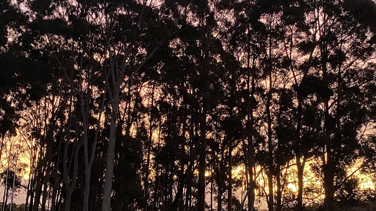 Photo of Others in Margaret River
