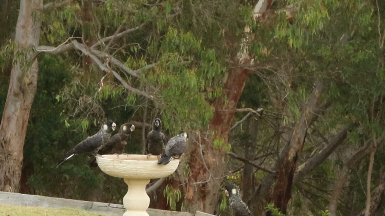 Photo of Outdoor in Margaret River